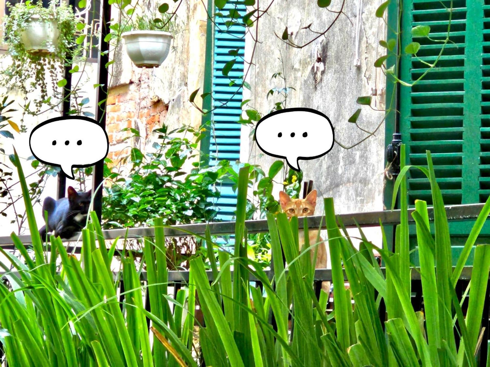 Azalea Apartment Hà Nội Ngoại thất bức ảnh