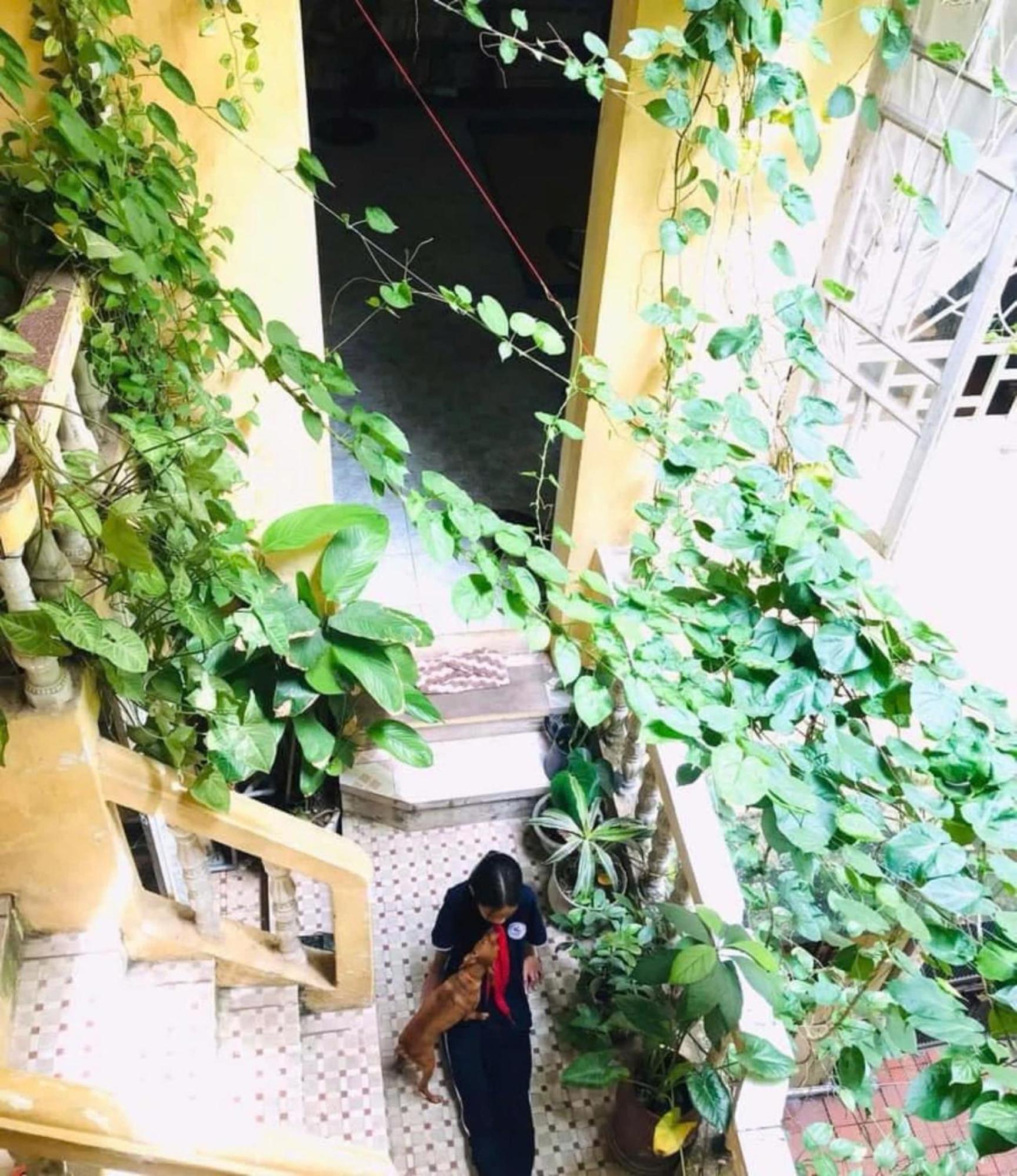 Azalea Apartment Hà Nội Ngoại thất bức ảnh