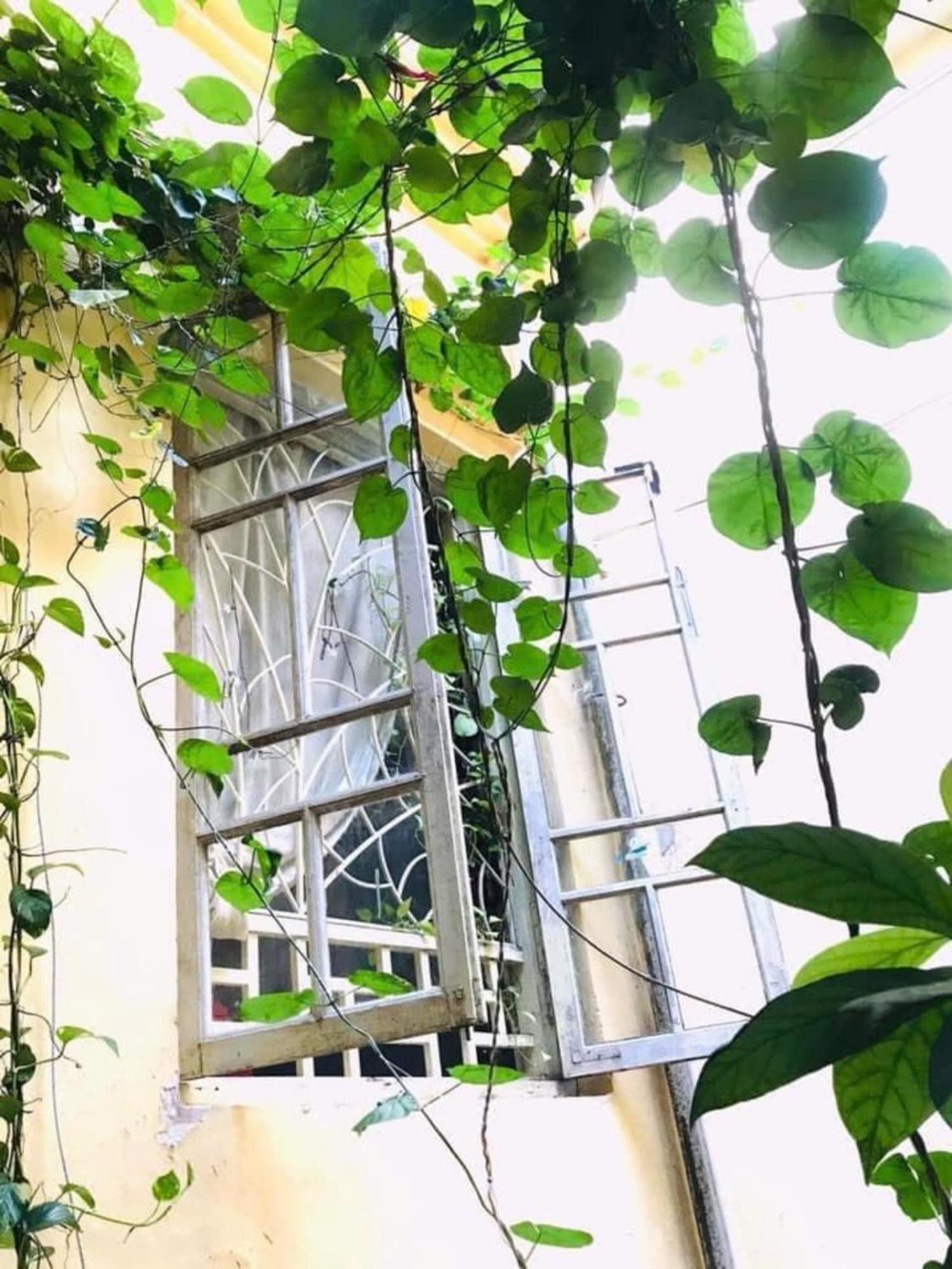 Azalea Apartment Hà Nội Ngoại thất bức ảnh